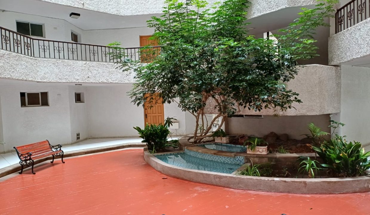 PN2
