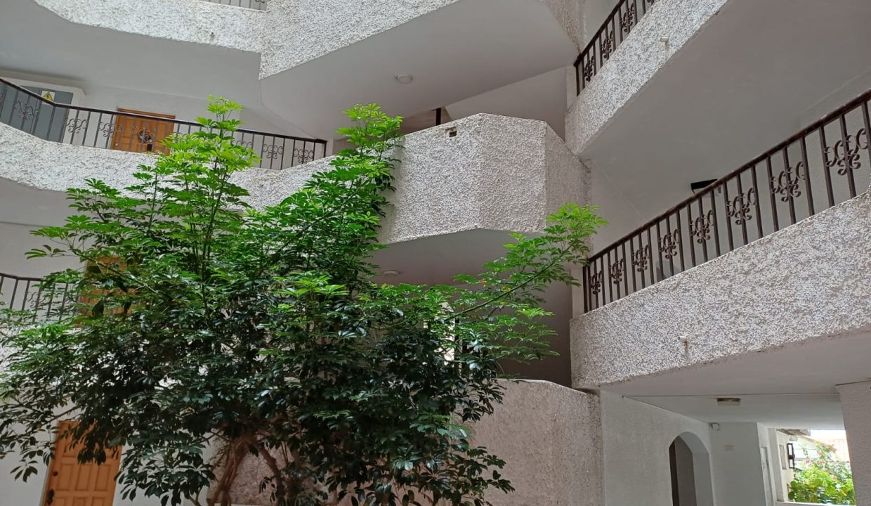 PN7