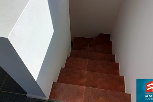 Diseño sin título (6)