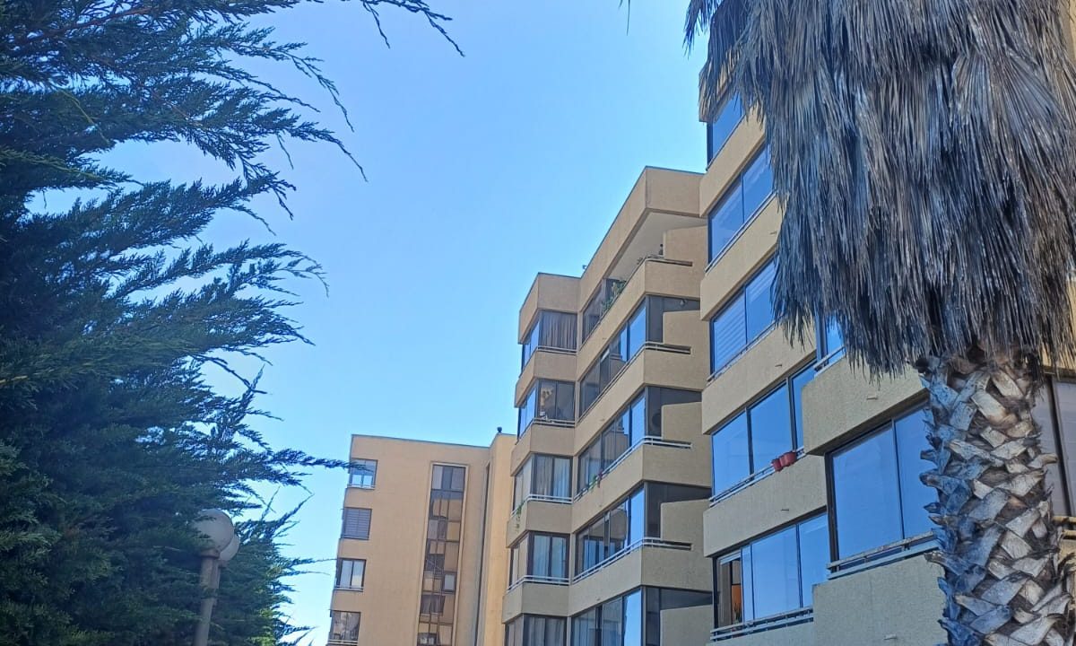 NN16