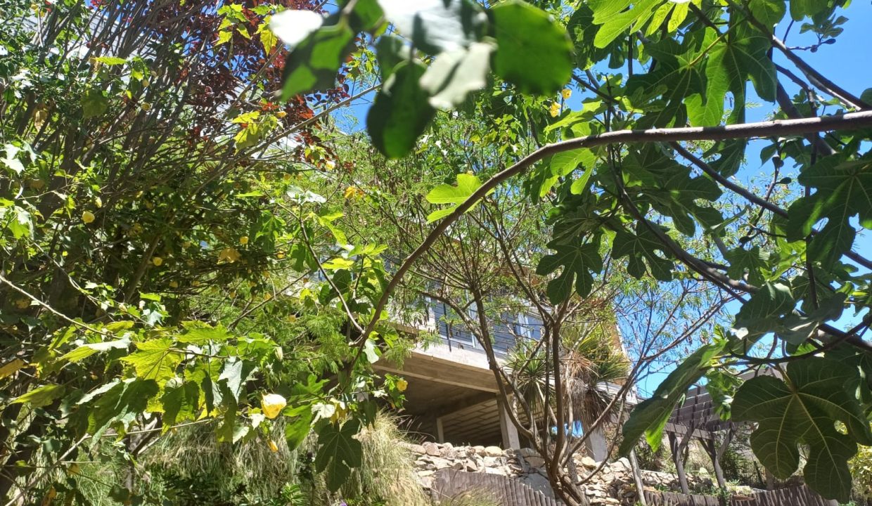 53861aa2-620d-4a80-b557-44579d001516 (1)