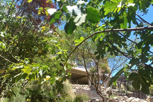 53861aa2-620d-4a80-b557-44579d001516 (1)