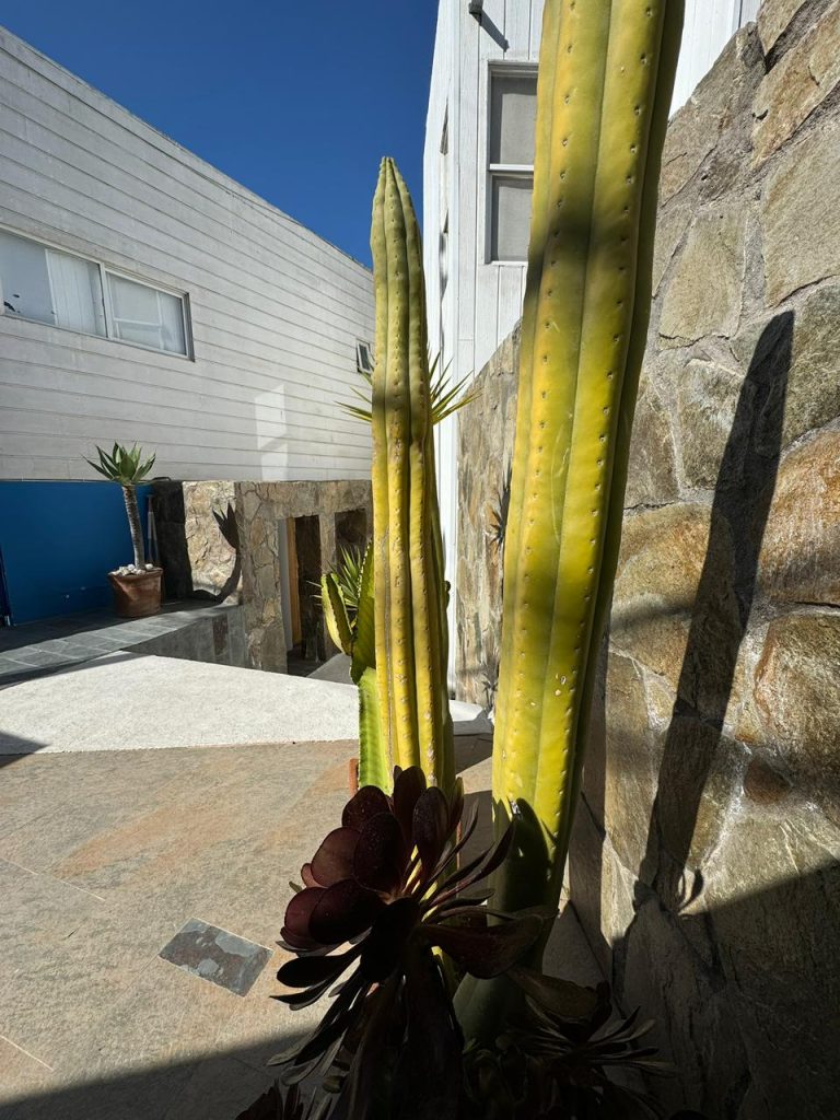 Arriendo Diario en La Herradura, Coquimbo - La Serena Propiedades